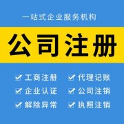 企業(yè)代辦注冊哪家好　稅務(wù)共享服務(wù)中心的設(shè)計思路